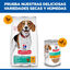 12 kg Hill's Science Plan Perfect Weight Adult Medium Pollo pienso para perros, , large indicador imagen numero 6