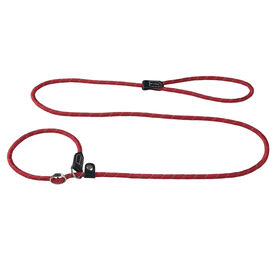 Rogza collar y correa roja para perros
