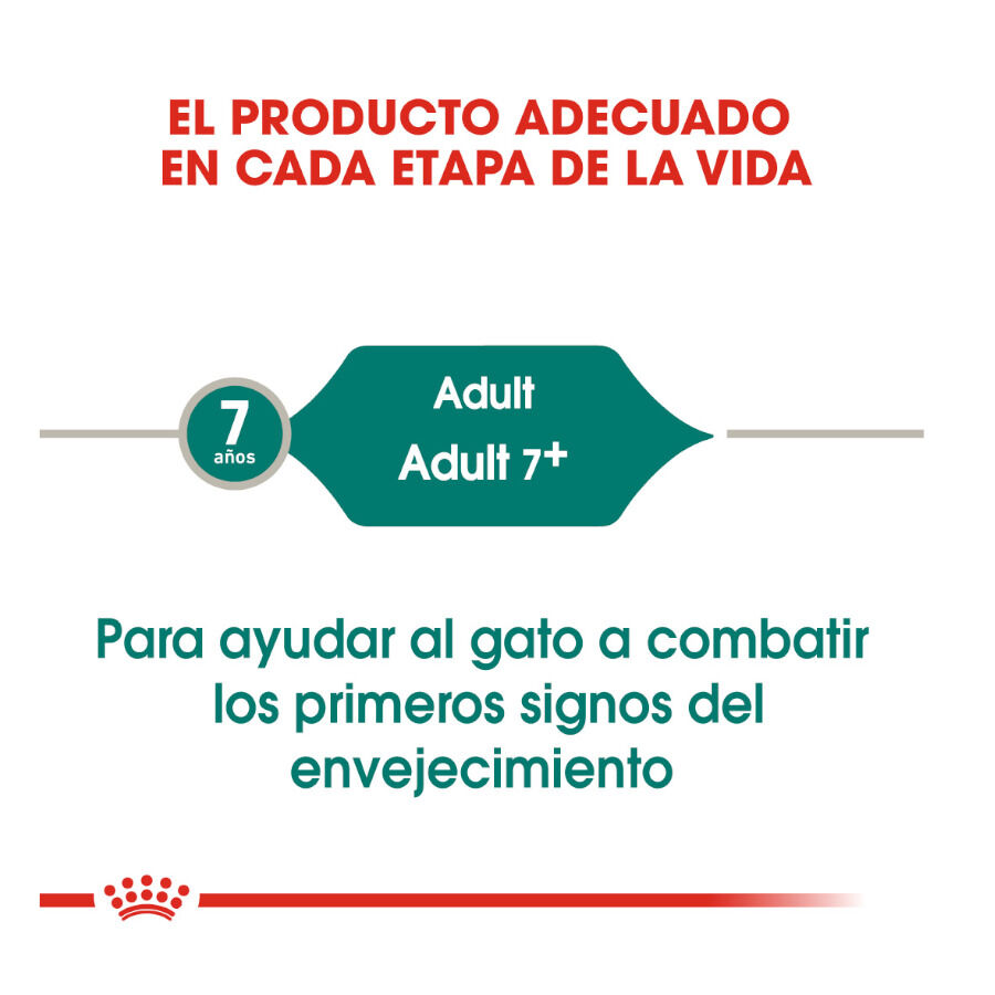 Royal Canin Senior 7+ Instinctive sobres para gatos thumbnail