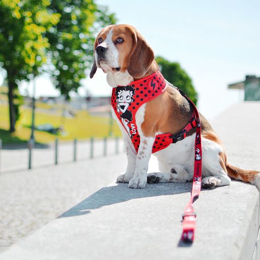 Neo mesh betty boop vintage color Rojo, , large Imagen numero 3