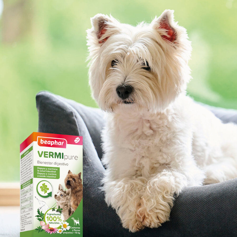 Beaphar VERMIpure Repelente Interno Natural en comprimidos para perros peque&ntilde;os y cachorros, , large Imagen numero 7