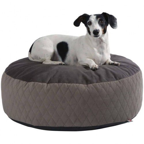 Cama de estilo puf para perros color Multicolor, , large Imagen numero 2