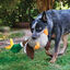 Kong Shakers Honkers Pato de peluche para perros, , large indicador imagen numero 2