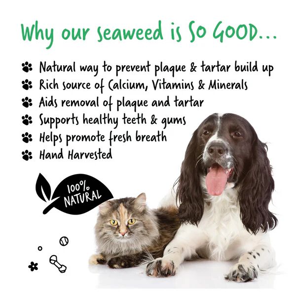 Quitaplaca 100% natural para perros y gatos (70g), , large Imagen numero 3