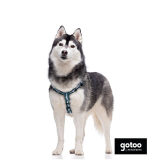 Gotoo Arnés estampado verde para perros