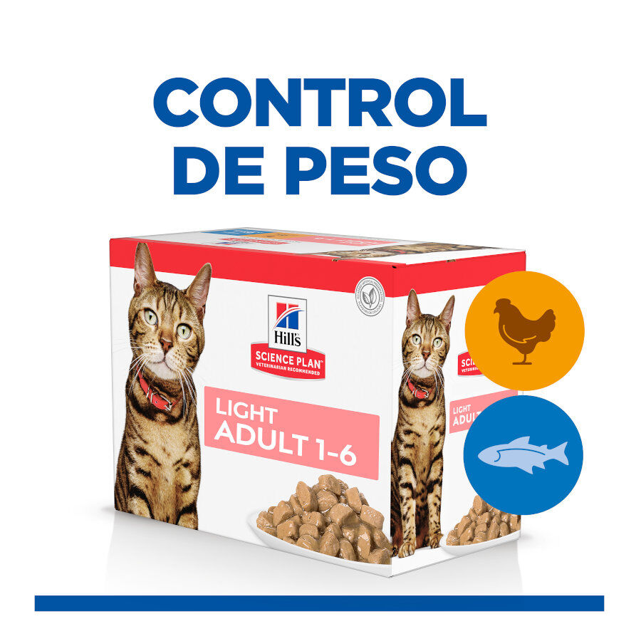 12 sobres x 85 g Hill's Science Plan Light Adult Pescado Azul y Pollo en Salsa sobre para gatos, , large Imagen numero 2