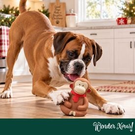 Wonder Christmas Mono L&aacute;tex Juguete para perros