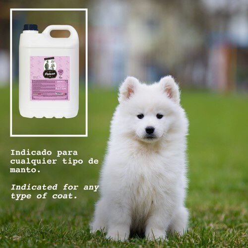 Petuxe champ&uacute; de limpieza profunda para mascotas, , large Imagen numero 2