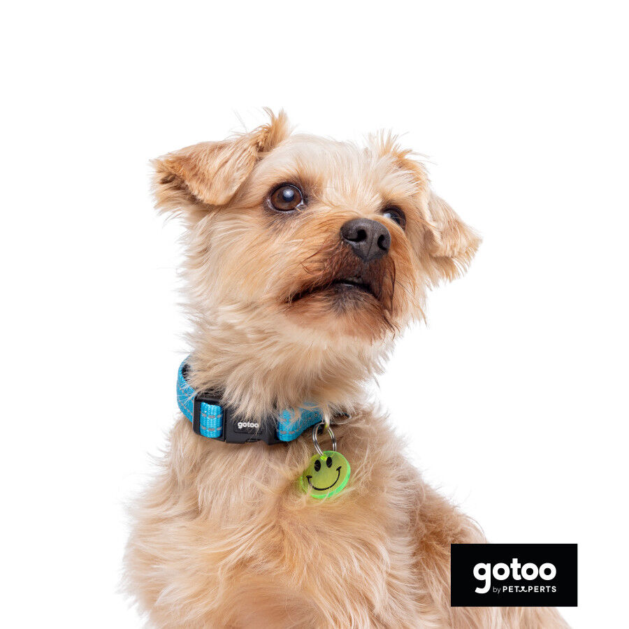 Gotoo collar de nylon reflectante azul para perros, , large Imagen numero 5