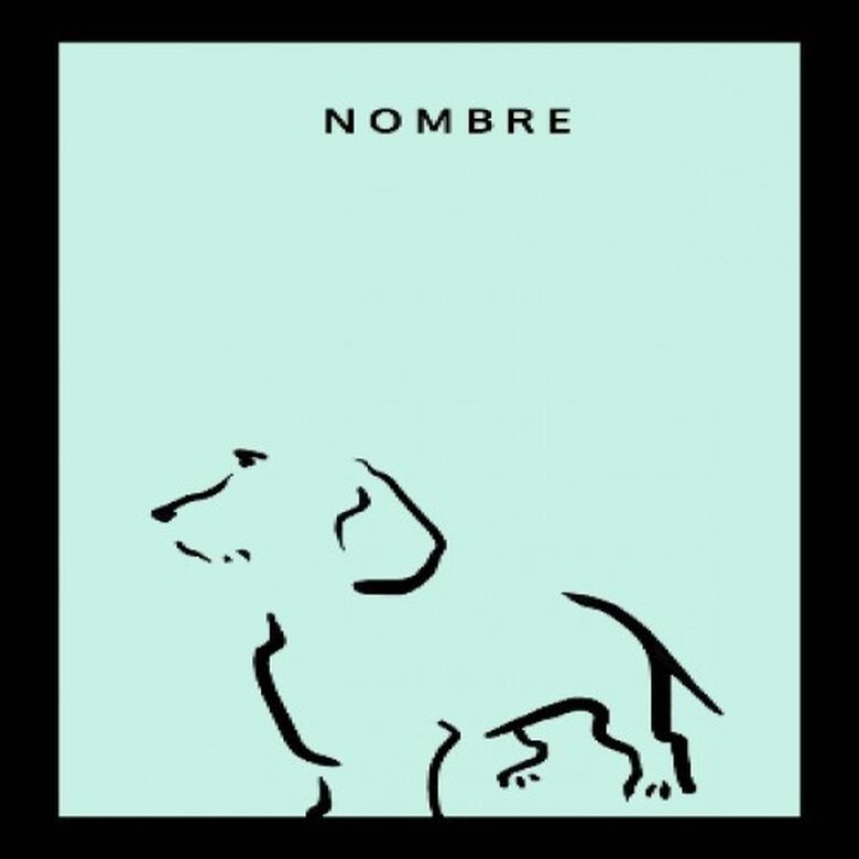 Ilustración de Terrier A4 con marco negro color Mint, , large image number null