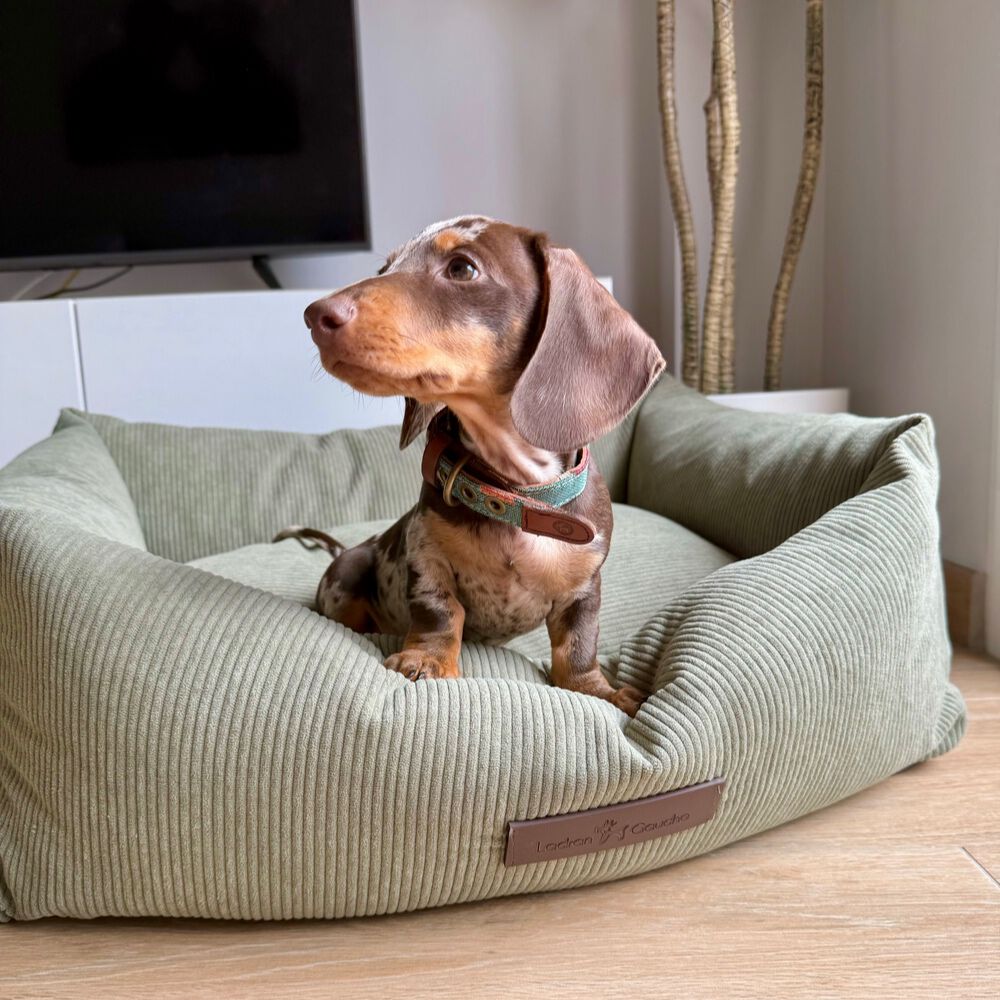 CAMA DE PANA PRADERA - GRANDE, , large Imagen numero 4