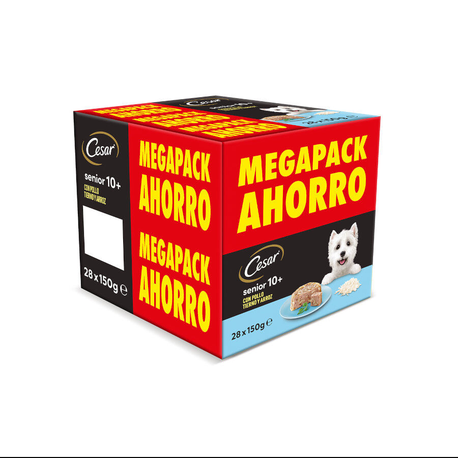 Cesar Pollo y Arroz Tarrina en Gelatina para Perros Senior