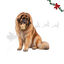 1 ud. Wonder Christmas Manopla Piel Prensada Snacks para perros, , large indicador imagen numero 1