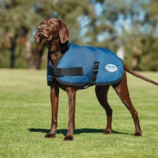 Abrigo parka clásico Comfitec para perros color Azul oscuro