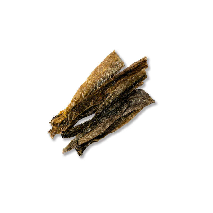 70 g. True Origins Piel Flet&aacute;n Negro Snack para perros, , large Imagen numero 3