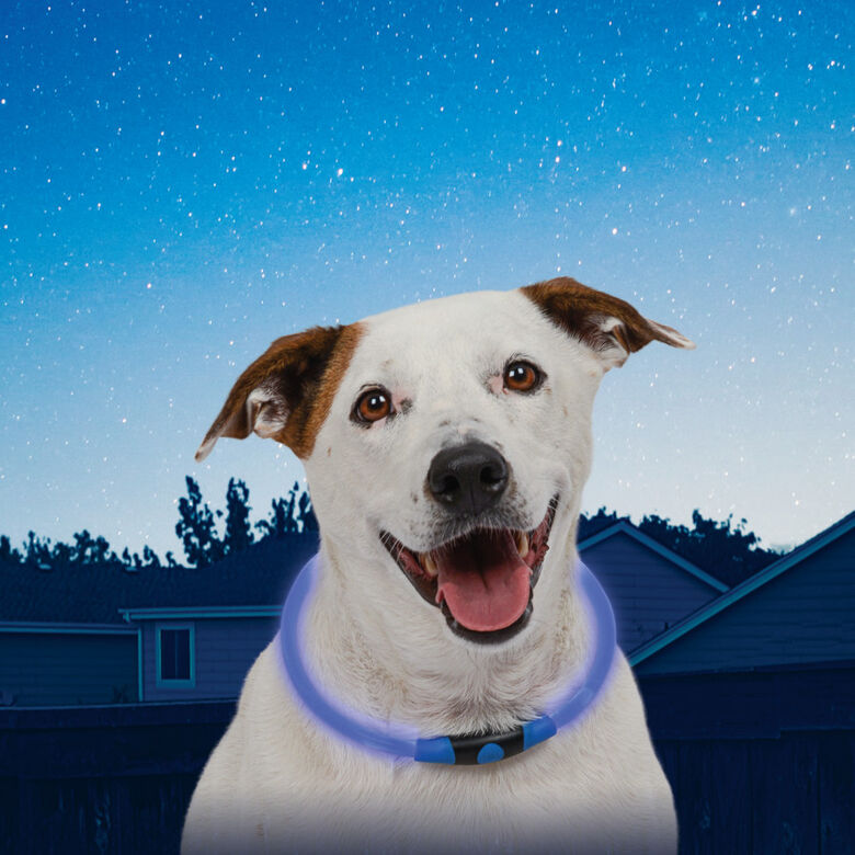 Nite Ize NiteHowl Collar con Luz LED Azul para perros thumbnail
