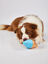 FOFOS Juguete Refrescante para Perro &ndash; Helado, , large indicador imagen numero 3
