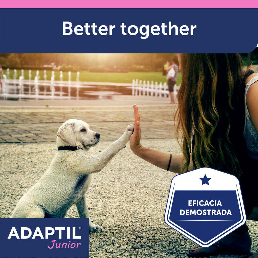 Adaptil Junior Collar Anti-estrés para perros thumbnail