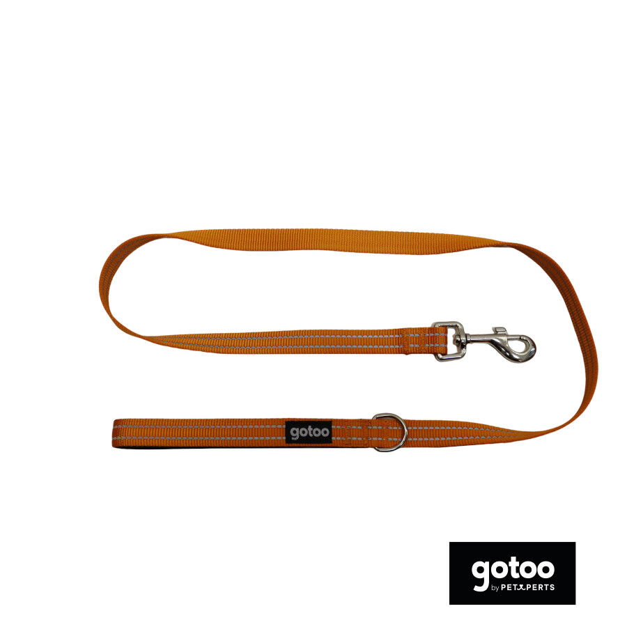 Gotoo Correa de nylon reflectante naranja para perros thumbnail