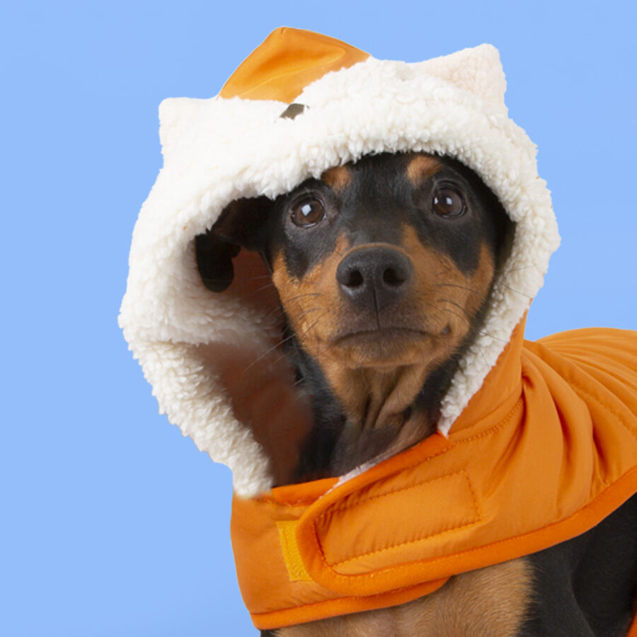 Outech Fox Abrigo para perros thumbnail