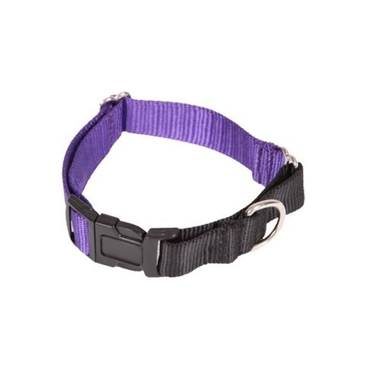 Arppe collar regulable de nylon de adiestramiento púrpura para perros, , large image number null