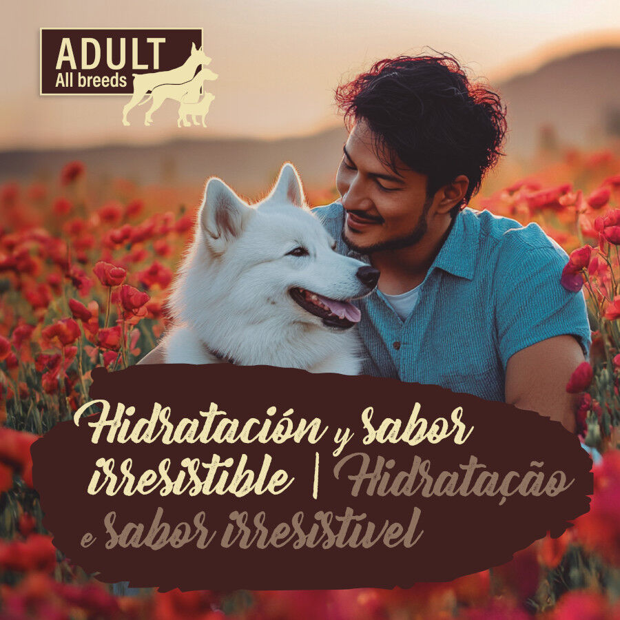 True Origins Adulto Pure Vacuno lata para Perros thumbnail