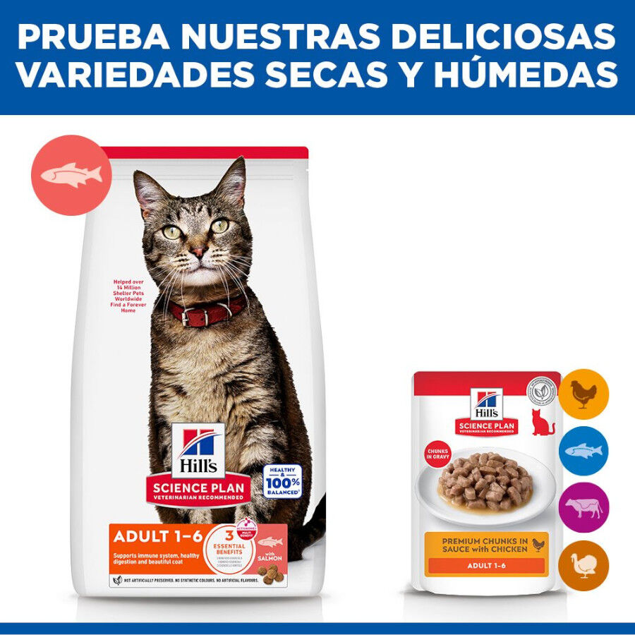 7 kg Hill's Science Plan Adult Pienso Salm&oacute;n para gatos, , large Imagen numero 8