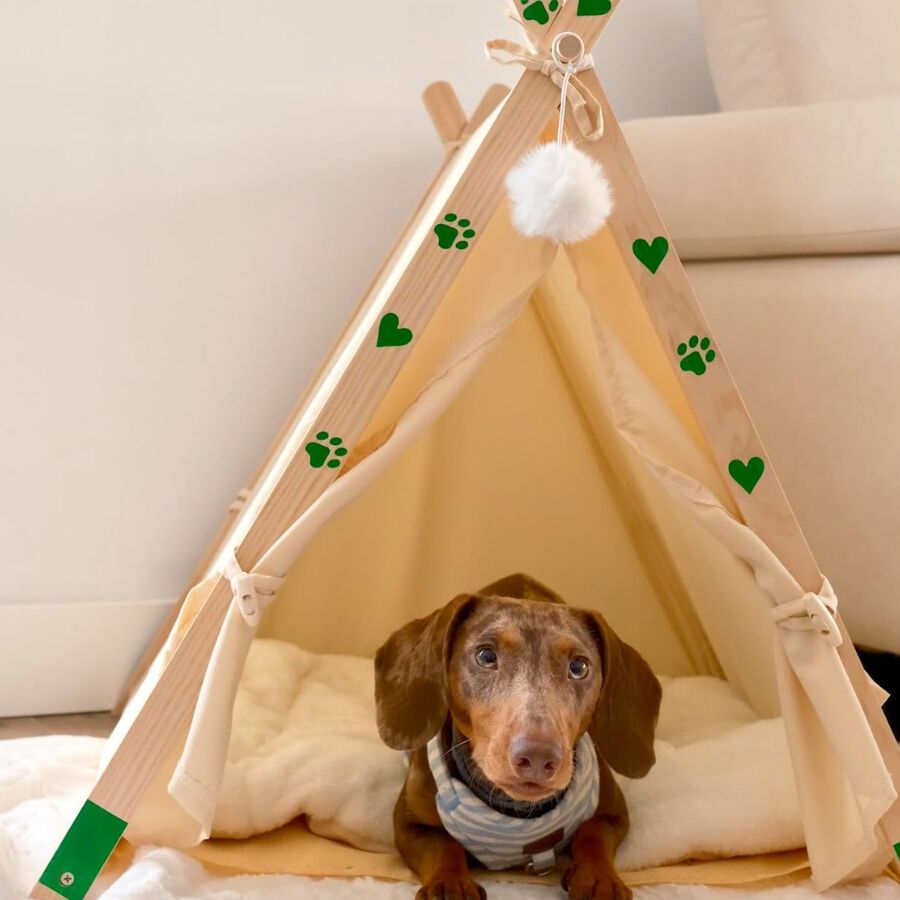 Cama Tipi Plegable para Gatos y Perros Peque&ntilde;os con Coj&iacute;n Lavable - Cueva de Madera Maciza y Lino Transpirable, Caseta de Interior Port&aacute;til y F&aacute;cil de Limpiar para Cachorros y Mascotas, , large Imagen numero 4