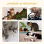 PawHut Árbol Rascador para Gatos Medianos, , large indicador imagen numero 4