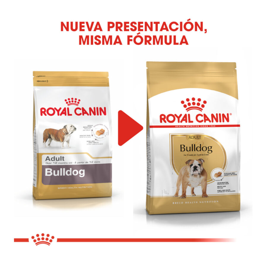 Royal Canin Adult Bulldog pienso para perros thumbnail
