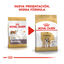 12 kg Royal Canin Adult Bulldog pienso para perros, , large indicador imagen numero 3