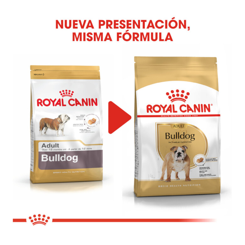 Royal Canin Adult Bulldog pienso para perros, , large image number null