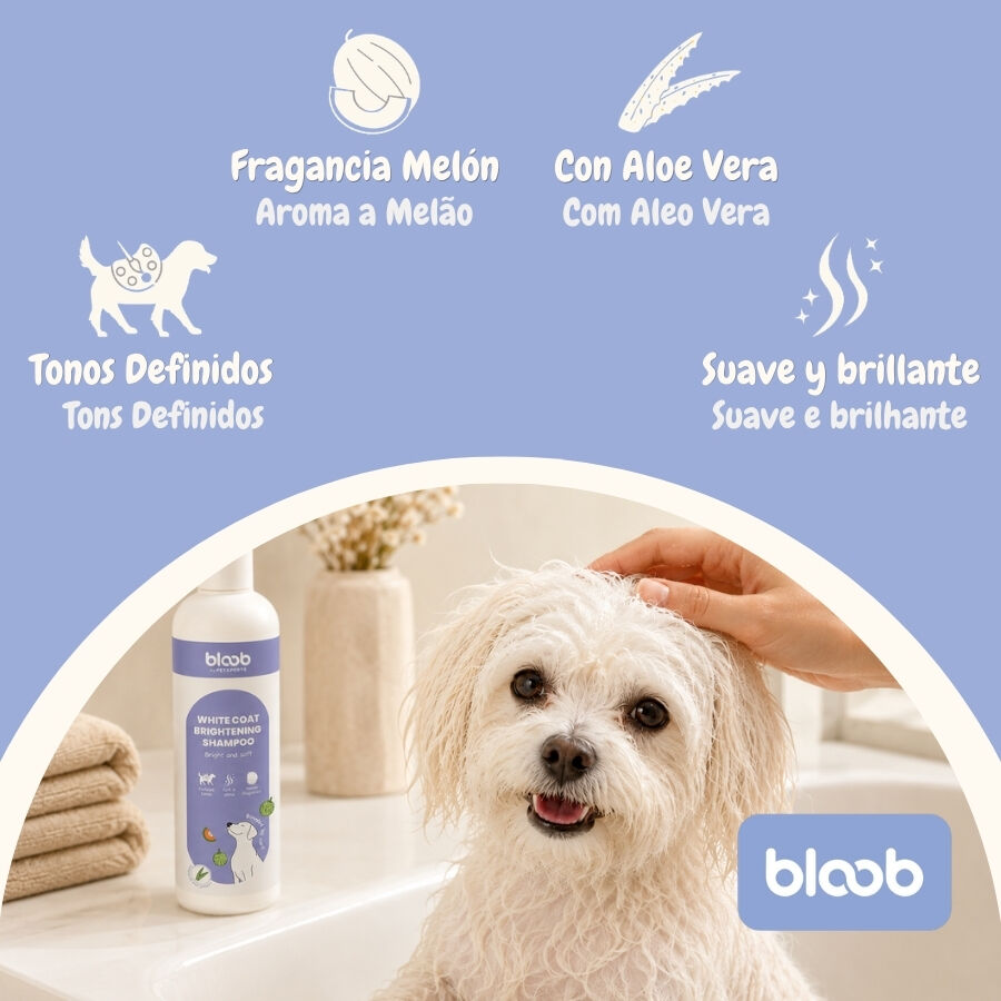 Bloob Champ&uacute; Realzador Mantos Blanco Mel&oacute;n para perros, , large Imagen numero 3
