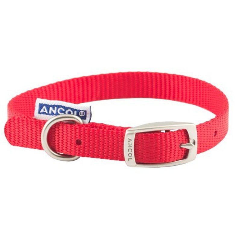 Collar impermeable Ancol de nylon para perros color Rojo, , large image number null