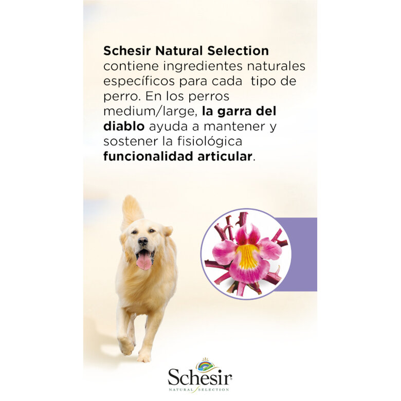 Schesir Adult Medium&Large Natural Selection Pavo pienso para perros, , large image number null