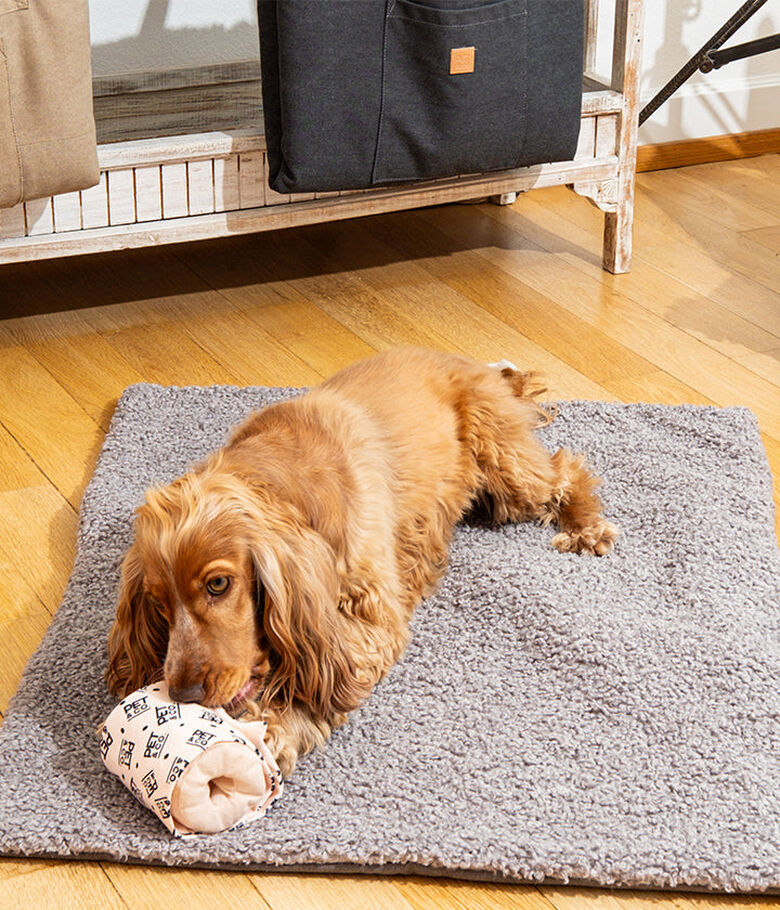 Pet and Co Alfombra De Viaje Aventura Gris Frío Perros y Gatos thumbnail