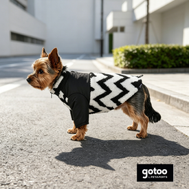 Gotoo Chaqueta Estampado ZigZag para perros