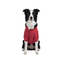 Gotoo Abrigo Impermeable Reflectante Rojo para perros, , large indicador imagen numero 7