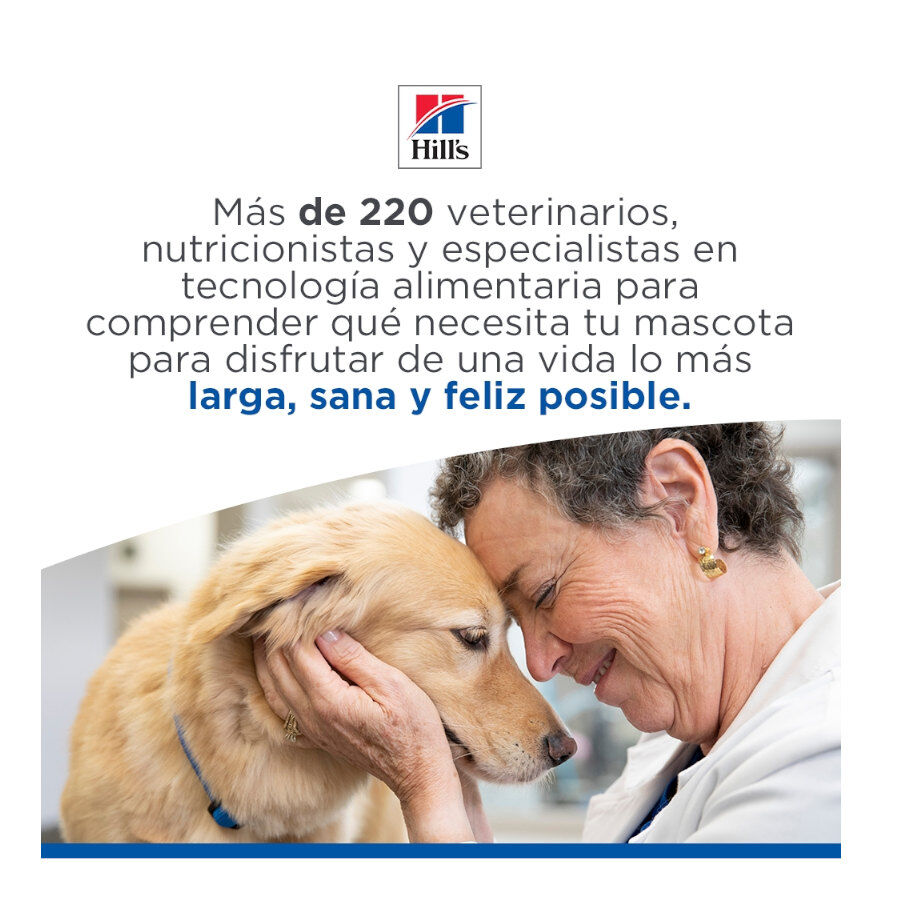 85 g Hill's Science Plan Adult Ternera Sobre en Salsa para gatos, , large Imagen numero 10