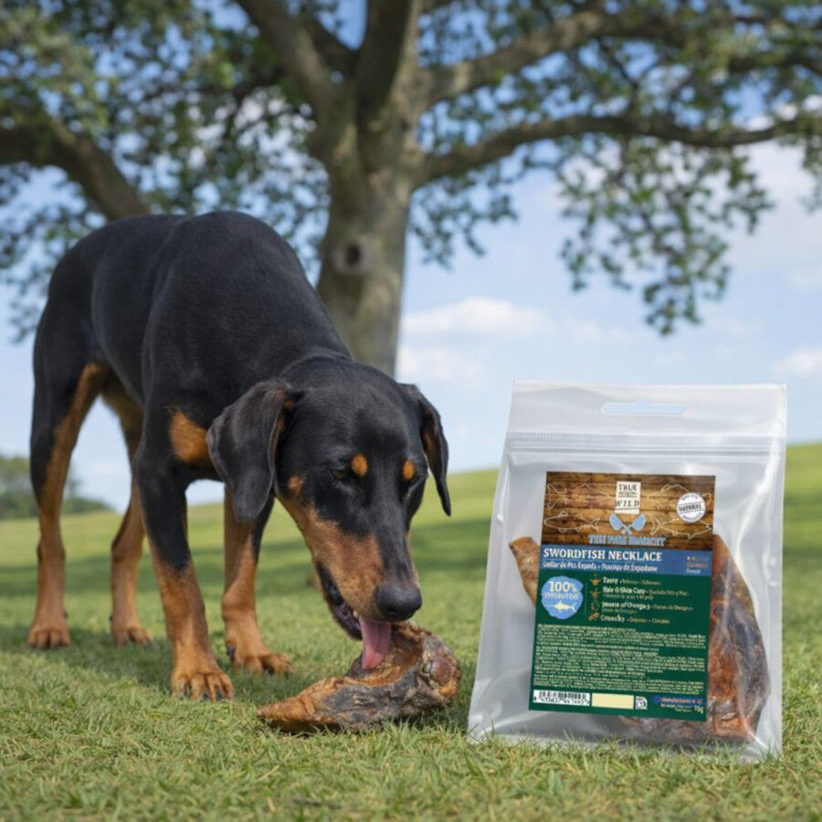 70 g. True Origins Collar Pez Espada Snack para perros, , large Imagen numero 1