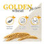 Golden Grey Trigo Arena Aglomerante para gatos, , large indicador imagen numero 3