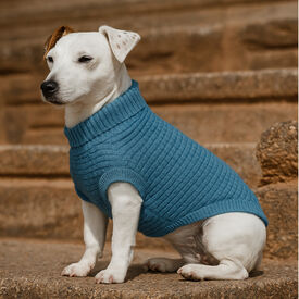 Freedog Jersey Frapp Azul para perros