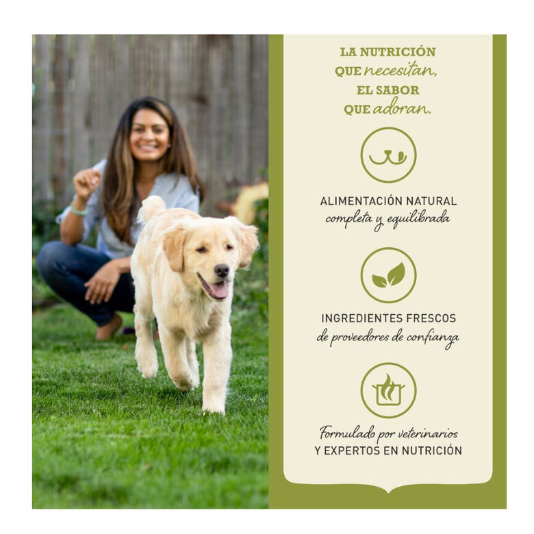 Acana Puppy Large Breed pienso para perros thumbnail