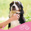 Beaphar Pelo Largo Champú para perros, , large indicador imagen numero 6