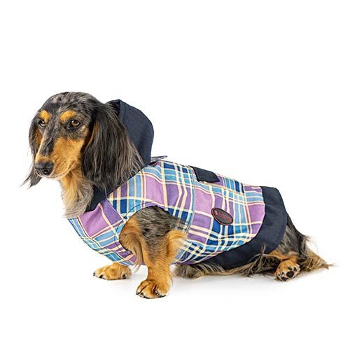 Chubasquero con capucha Lavanda CHUBASQUERO CON CAPUCHA LAVANDA 40CM, , large Imagen numero 1