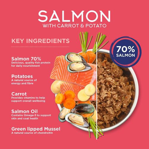 Fish4Dogs Comida h&uacute;meda para perro &ndash; Salm&oacute;n, zanahoria y patata 395 g (pack de 6), , large Imagen numero 2