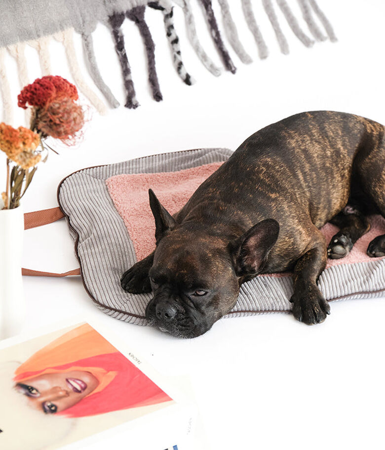 Pet and Co Alfombra De Viaje Charly Cord Gris Perros thumbnail