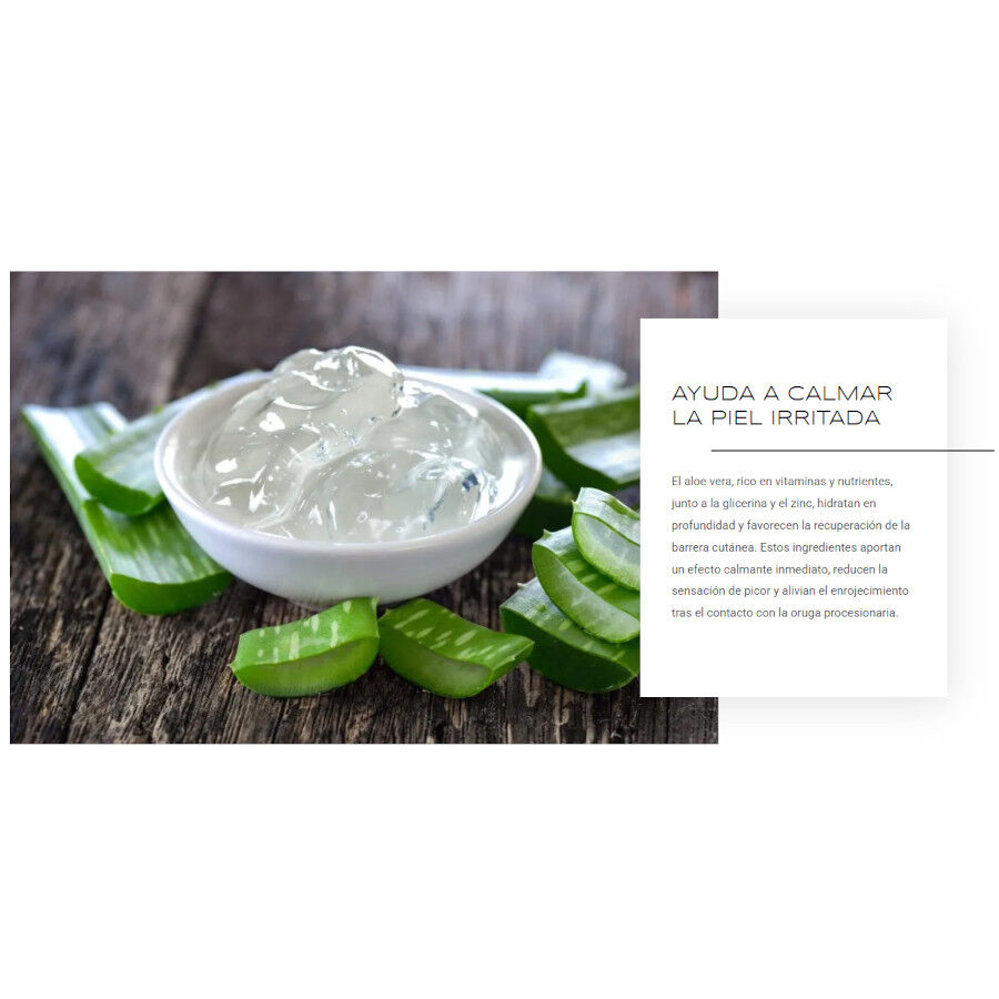 ProcesionFix Spray de Primeros Auxilios contra Procesionarias para Perros, , large Imagen numero 3