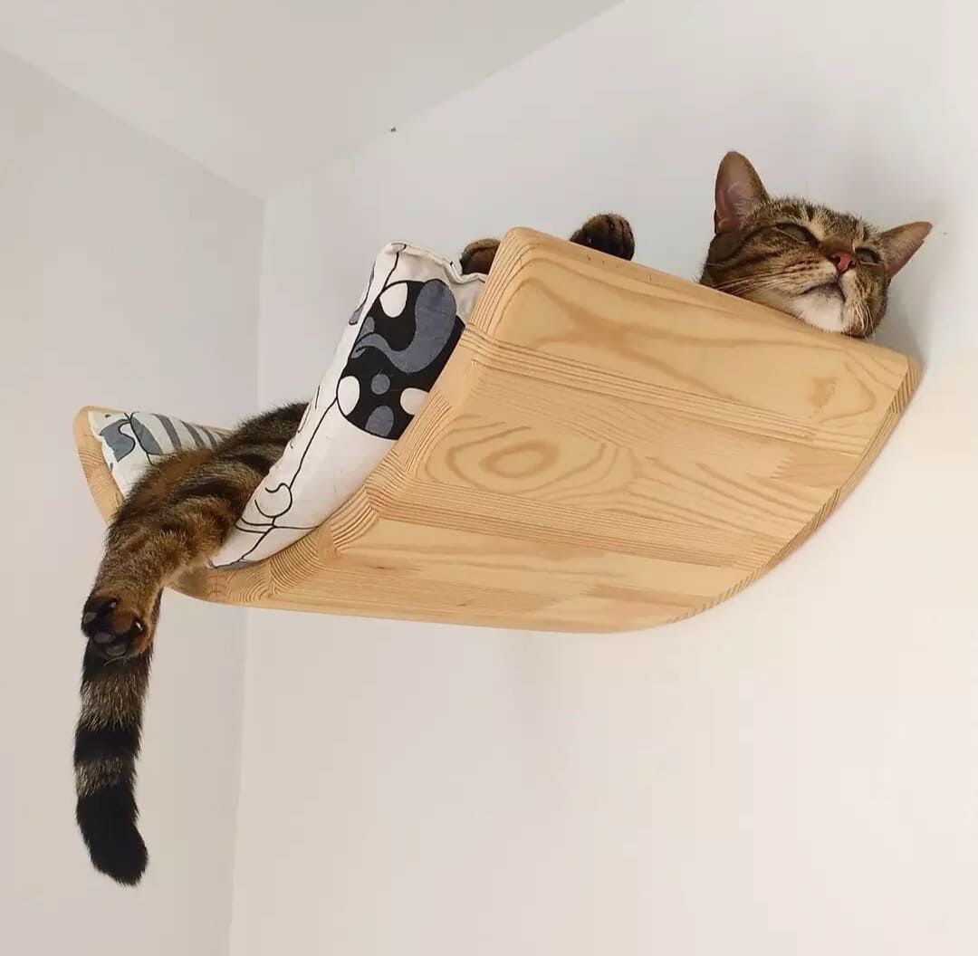 Cama Curva, , large Imagen numero 2