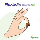 Vetoquinol Flexadin Young Mini Condroprotector para perros, , large image number null